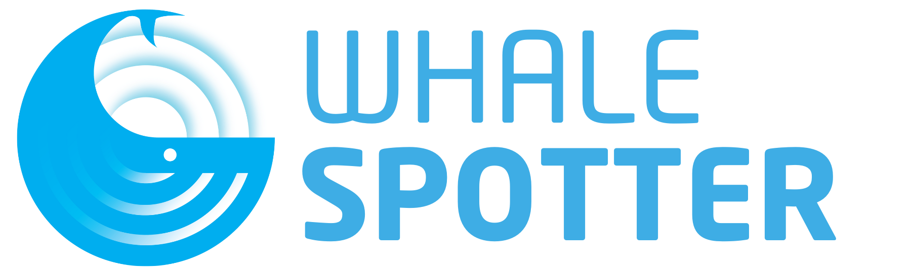WhaleSpotter